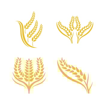 Wheat logo vector icon illustration
