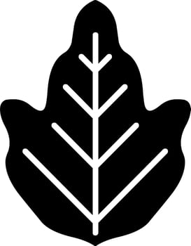 Leaves icon vector set isolated on white background. Various shapes of green leaves of trees and plants. Elements for eco and bio logos.