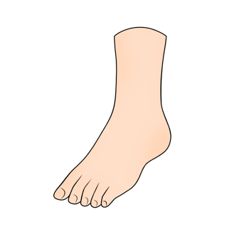 foot body part clipart png