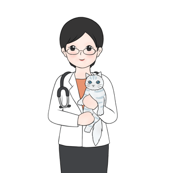 female veterinarian holdin cat png