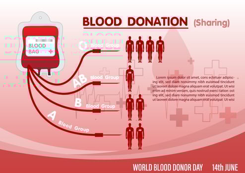 Infographic of blood donation with receiving to Human in various blood groups and example texts and red gradient background. Poster's infographic of World blood donor day campaign in vector design.