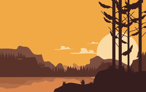 woodland forest landscape with smooth color vector