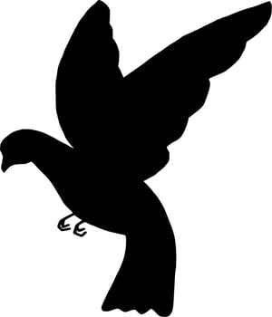 Vector silhouette of bird on white background