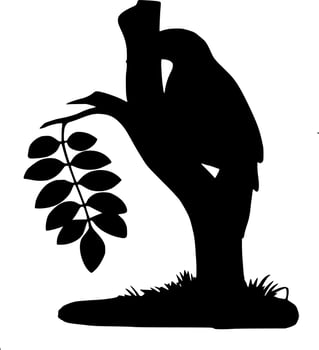 Vector silhouette of bird on white background