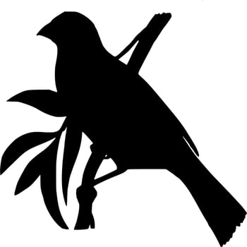 Vector silhouette of bird on white background