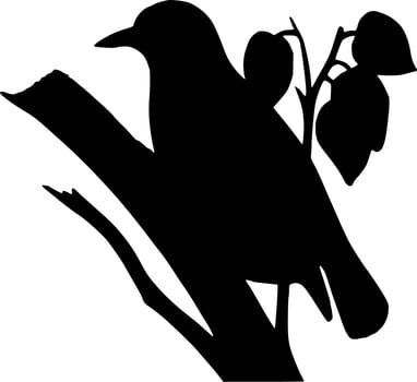Vector silhouette of bird on white background