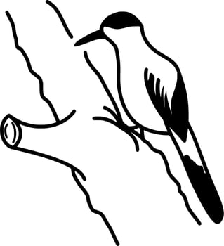 Vector silhouette of Bird on white background