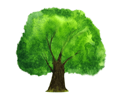 watercolor painting tree png. png