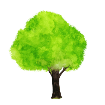 watercolor painting tree png. png