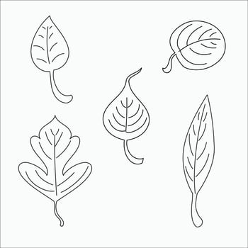 leaf line art vector
