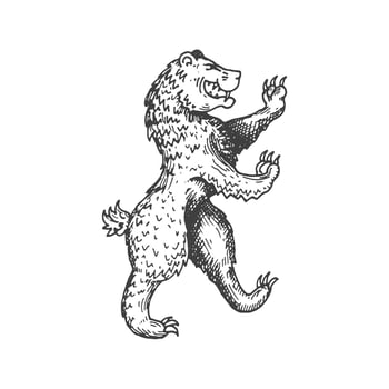 Bear medieval heraldic animal sketch symbol vector