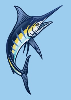 big blue marlin fish vector