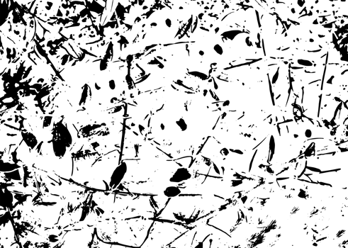 Rustic grunge texture with grain and stains. Abstract noise background. PNG graphic illustration with transparent background.