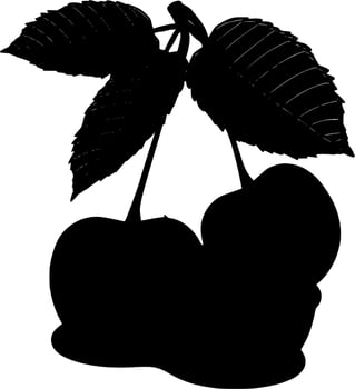 Vector silhouette of cherry on white background