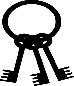 Vector silhouette of key on white background