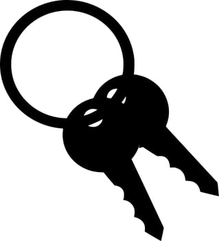Vector silhouette of key on white background