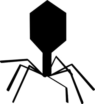 Vector silhouette of bacteria virus on white background