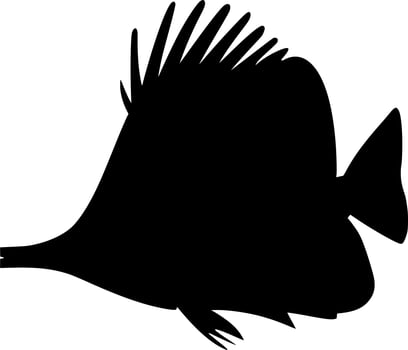 Vector silhouette of fish on white background