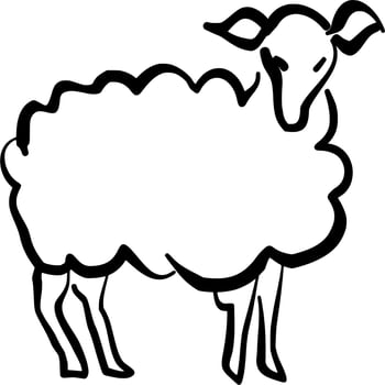 Vector silhouette of sheep on white background