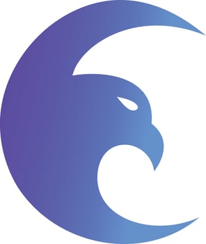 Eagle  Illustration Vector