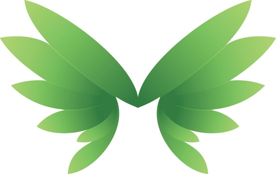 Wings  Illustration Vector