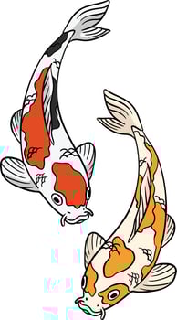 Koi Fish Cartoon Colored Clipart Illustration vector