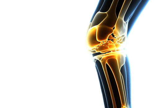 Knee injury illuminated by neon light. Skeleton of human leg. Transparent Background png
