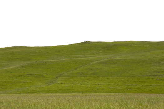 Mountain meadows with lush green grass at dawn. Landscape. Transparent Background png