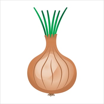 onion icon, vector, illustration, symbol vector
