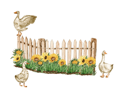 Watercolor farm composition with sunflowers. Butterflies in cartoon style. Hand drawn illustration of summer. Perfect for scrapbooking, kids design, wedding invitation,posters, greetings cards. png