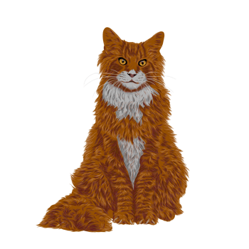Cat art illustration png