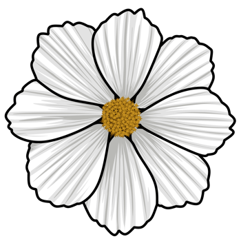 Flower art illustration png