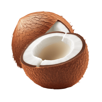 The image portrays a bunch of coconuts, realistically designed and placed on a transparent background. png