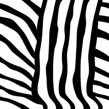Zebra Stripes Seamless Pattern. Black and white print. vector