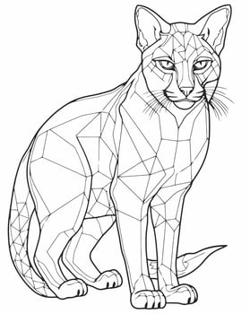 bobcat coloring page vector