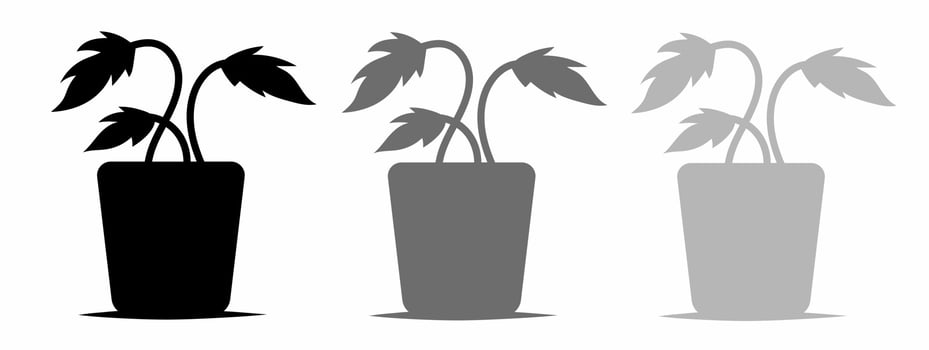 Botanical icon illustration set for business. Stock vector illustration.