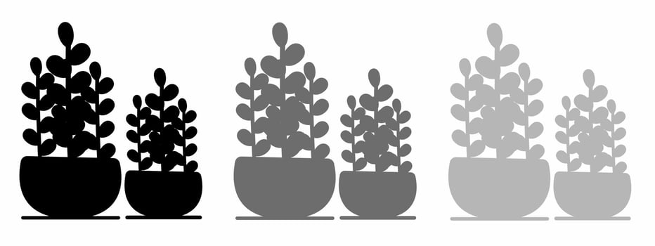 Botanical in potted icon illustration set for business. Stock vector illustration.