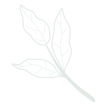 Line art leaf vector