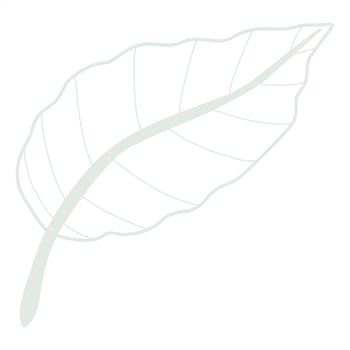 Line art leaf vector