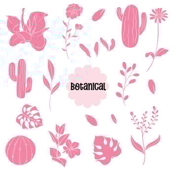 Set of Botanical Silhouette of Flowers, Leaves and Cactus vector