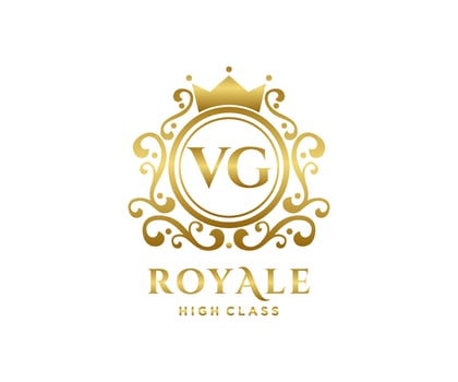 Golden Letter VG template logo Luxury gold letter with crown. Monogram alphabet . Beautiful royal initials letter. vector