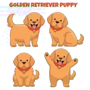 set of golden retriever puppy dog vector