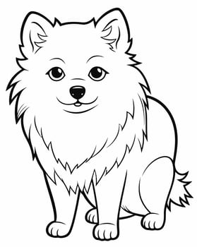 American eskimo coloring page vector