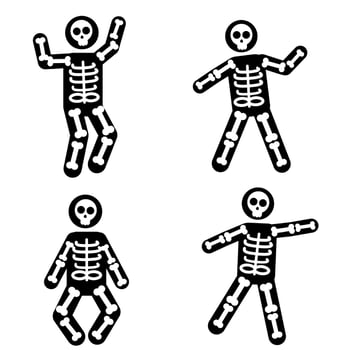 Skeleton illustration, Human skeleton Anatomy Drawing Bone, Skeleton, vector