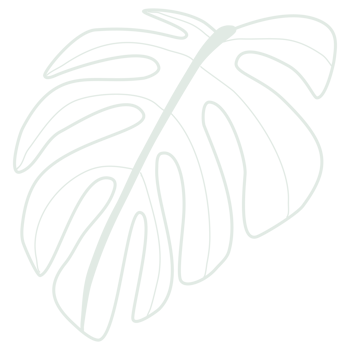 Line art leaf png