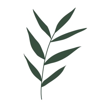 Aesthetic floral plant elements illustration vector