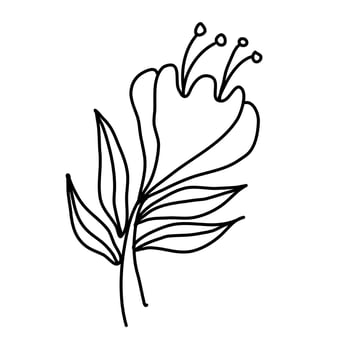 Aesthetic floral plant elements illustration vector