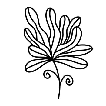 Aesthetic floral plant elements illustration vector