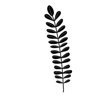 Aesthetic floral plant elements illustration vector