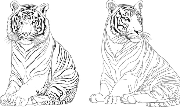Tiger coloring pages design vector